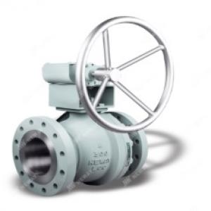 Neway Valve (Suzhou) Co.,Ltd introduce