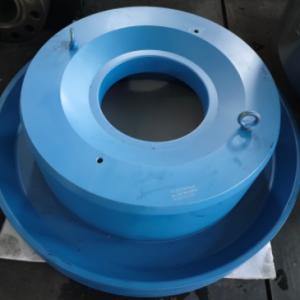 support ring and piston